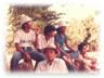 thm_ARAU1.jpg